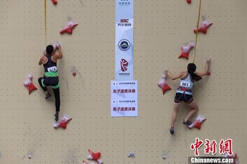云尔图：攀岩比赛。中新社记者 瞿宏伦 摄